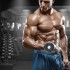 Fitness ve Kas Sıkılaşması Hakkında Bilgiler